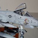 03-2026 (10)